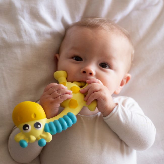 0186970 Squeak and Soothe Natural Teether T2