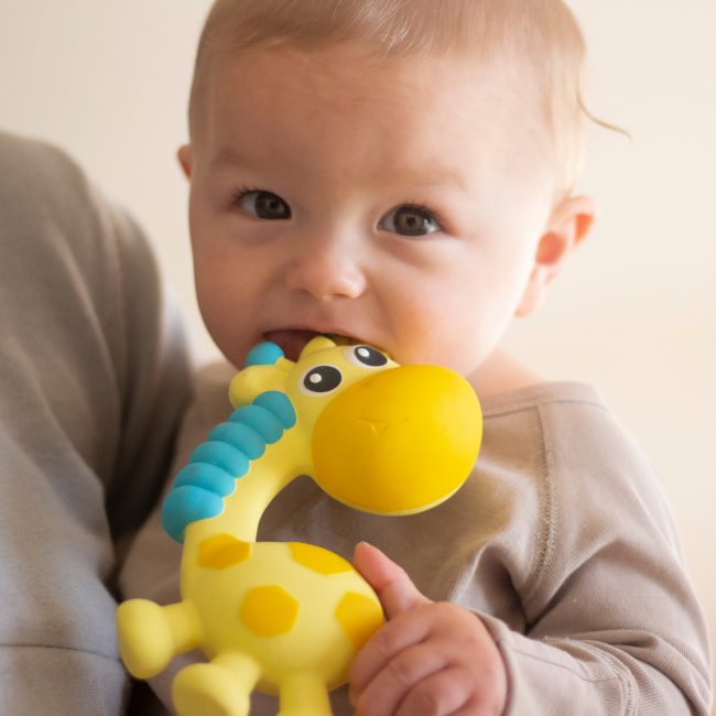 0186970 Squeak and Soothe Natural Teether T3