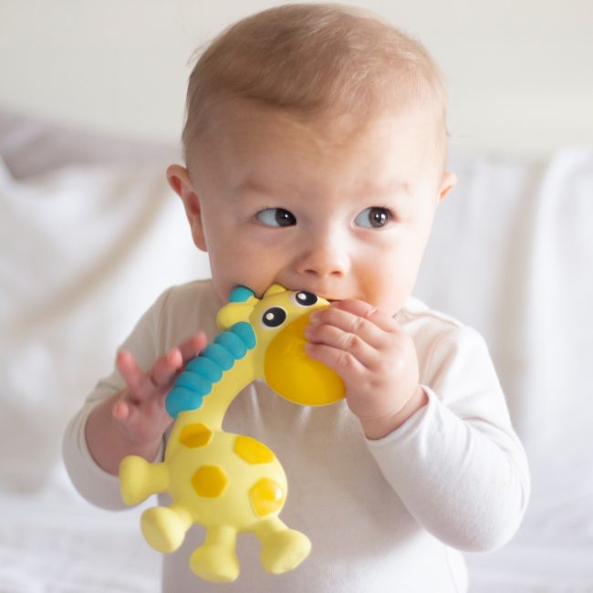 0186970 Squeak and Soothe Natural Teether T4