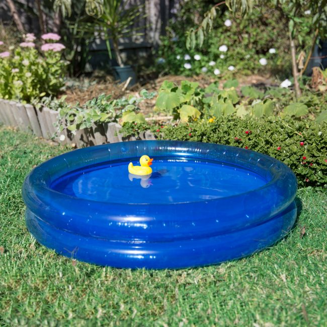 0170206-Bath-Duckie-Water-Play-2-(square)
